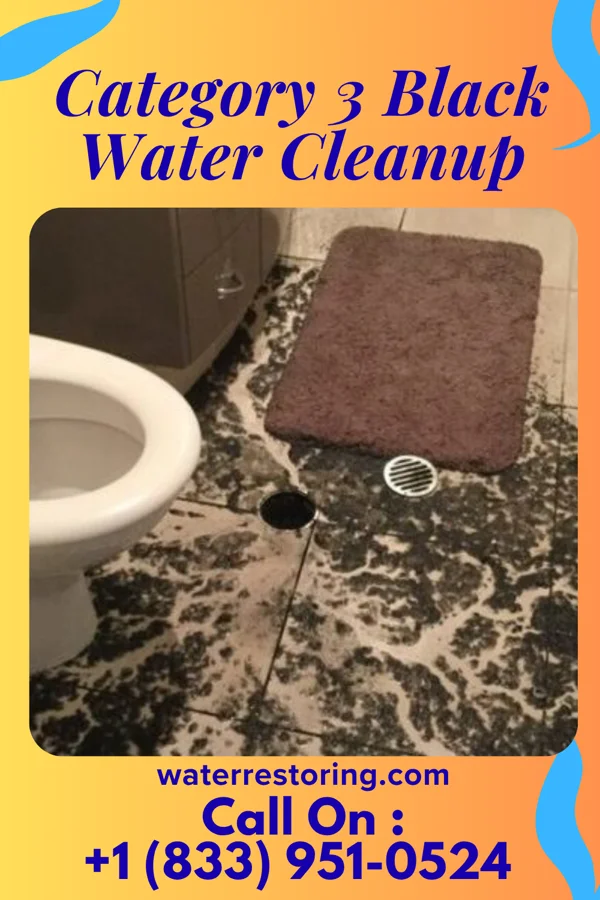 Category 3 Black Water Cleanup in Vernal, UT