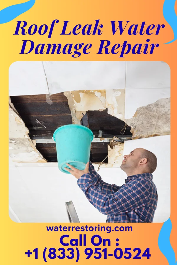 Roof Leak Water Damage Repair in Vernal, UT